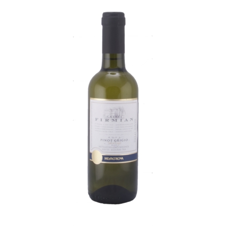 Pinot Grigio "Trentino"
Pinot Grigio (100%)